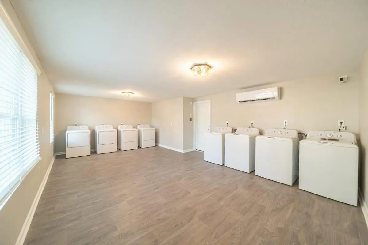Ov Mosaic - Cove Suite North Camellia Acres United States